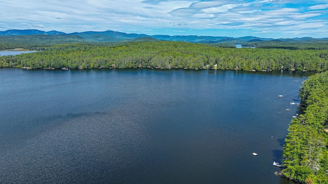 284 Mountain View Pines Rd, Lovell, ME 04051 - photo 173