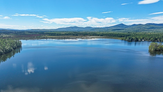 284 Mountain View Pines Rd, Lovell, ME 04051 - photo 174