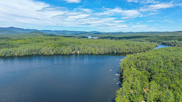 284 Mountain View Pines Rd, Lovell, ME 04051 - photo 176