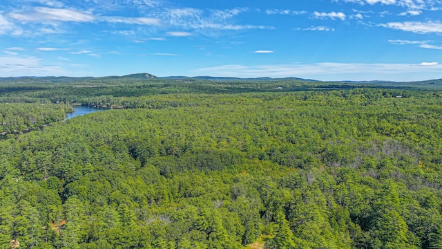 284 Mountain View Pines Rd, Lovell, ME 04051 - photo 178