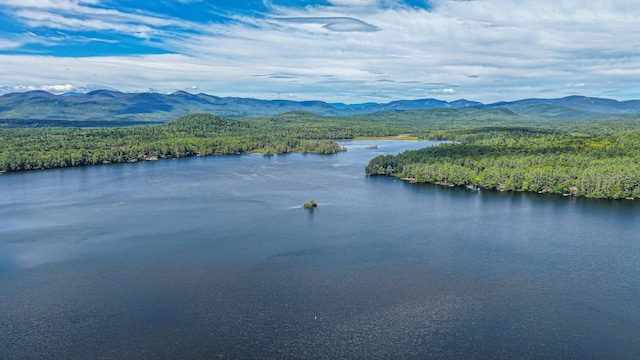284 Mountain View Pines Rd, Lovell, ME 04051 - photo 179