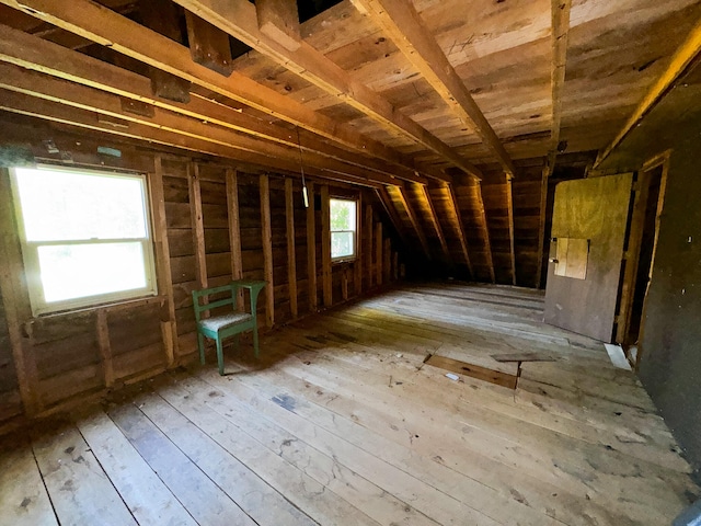 misc room with lofted ceiling and a healthy amount of sunlight