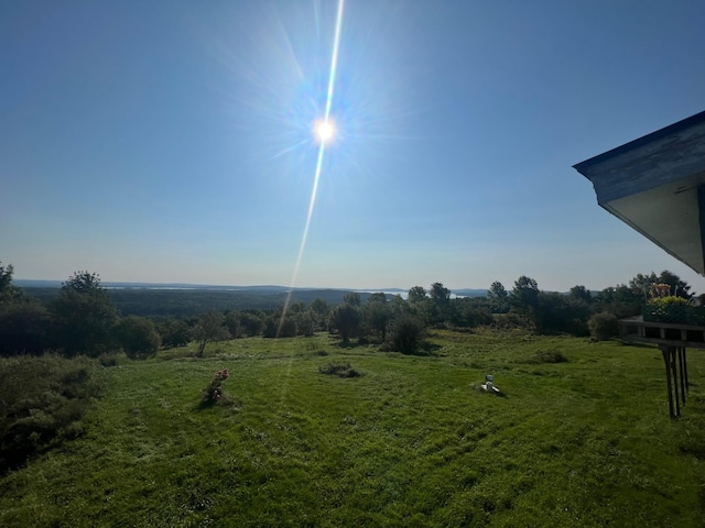 view of yard with a rural view