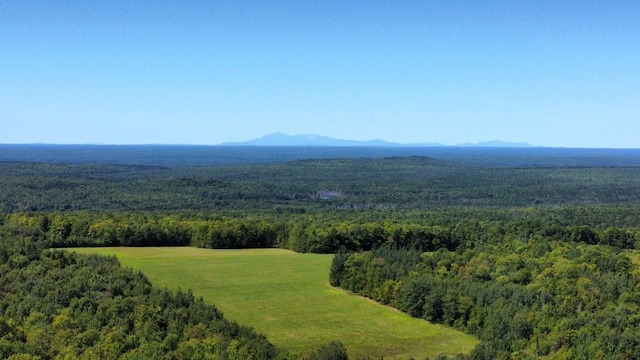 aerial view with a mountain view