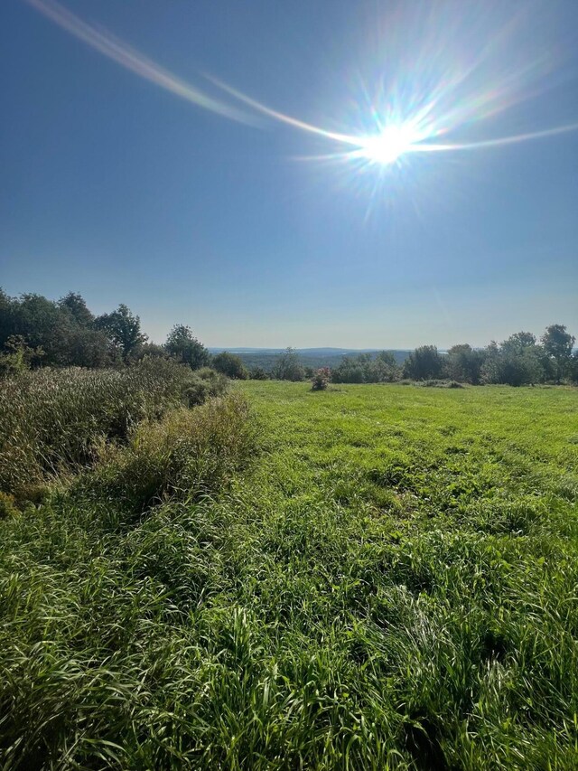 view of nature with a rural view