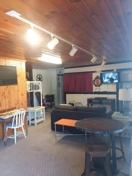 playroom with wood ceiling, wood walls, track lighting, and carpet floors