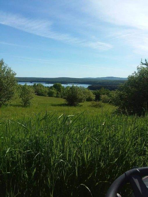 view of local wilderness featuring a water view