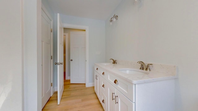 bathroom with vanity and wood-type flooring