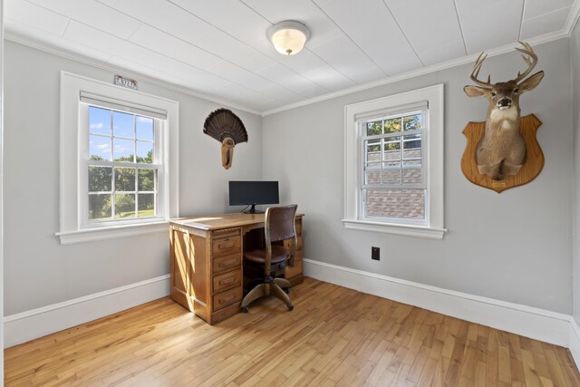 office with light hardwood / wood-style floors and ornamental molding