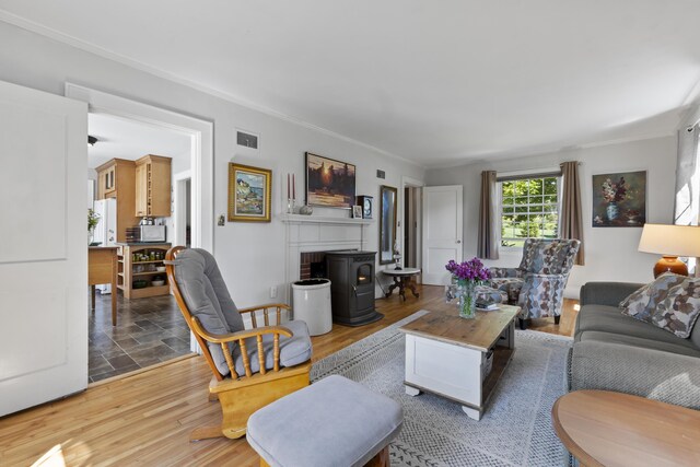 living room with a fireplace and dark wood-type flooring