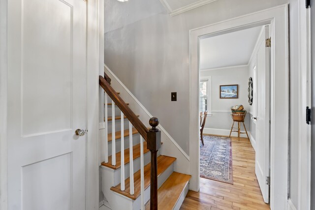 stairs with hardwood / wood-style floors and ornamental molding