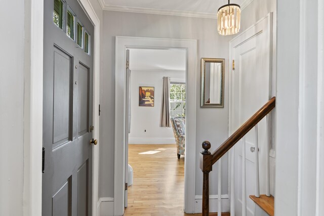 corridor featuring crown molding, an inviting chandelier, and light hardwood / wood-style floors