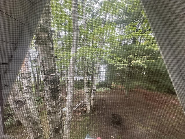 32 Dinsmore Ln, Whiting, ME 04691 - view of nature