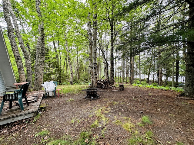 32 Dinsmore Ln, Whiting, ME 04691 - view of yard with an outdoor fire pit
