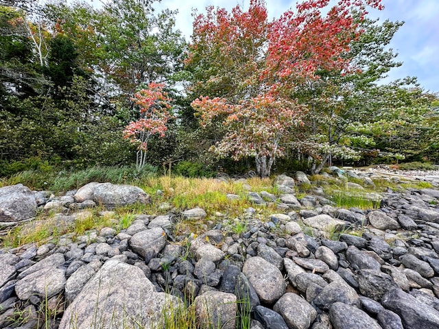 view of landscape