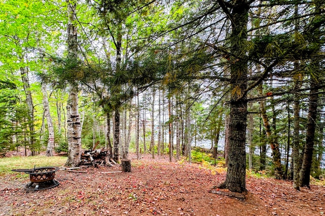 view of local wilderness