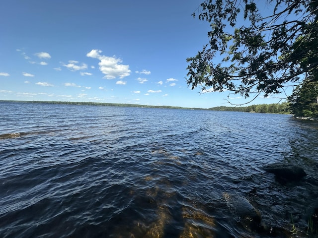 32 Dinsmore Ln, Whiting, ME 04691 - water view
