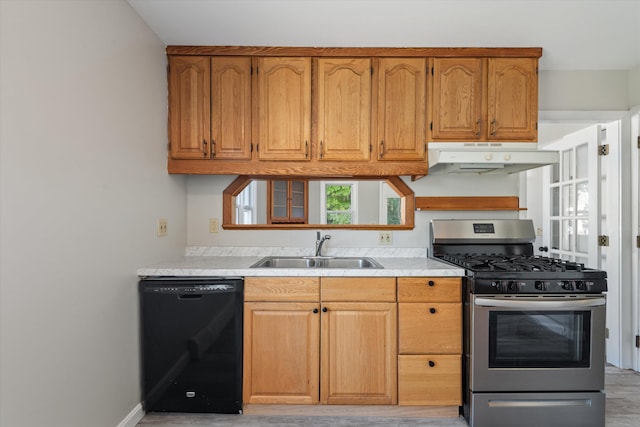 kitchen featuring gas range, dishwasher, and sink