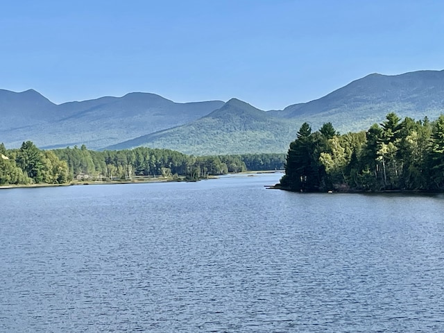 water view with a mountain view