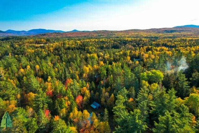 birds eye view of property with a mountain view