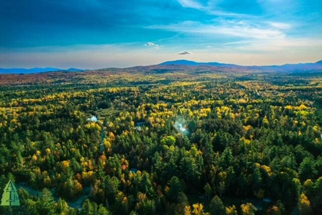 aerial view featuring a mountain view