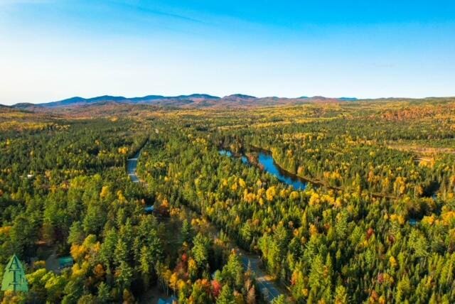 birds eye view of property featuring a water and mountain view