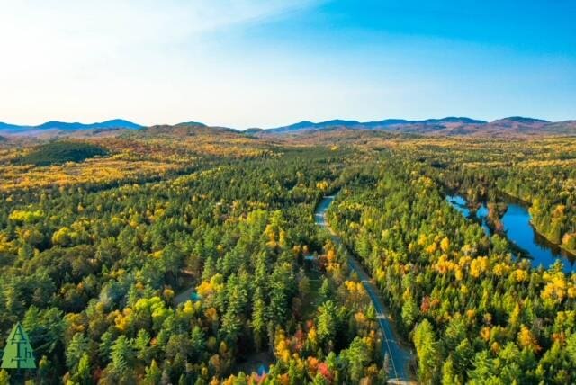 drone / aerial view with a water and mountain view