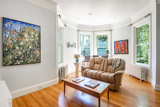 living room with ornamental molding, radiator heating unit, hardwood / wood-style flooring, and plenty of natural light