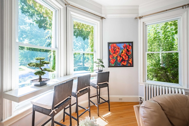 office featuring crown molding, light hardwood / wood-style floors, and radiator