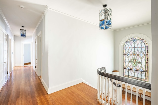 hallway with crown molding and hardwood / wood-style flooring