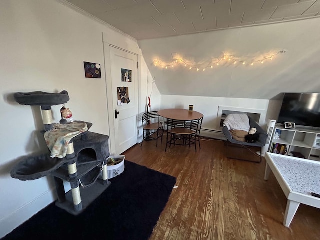 interior space with lofted ceiling, baseboard heating, and dark wood finished floors