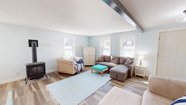 living room featuring light wood-type flooring, a wood stove, and plenty of natural light