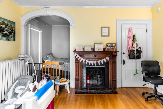 living room featuring crown molding, radiator, and wood-type flooring