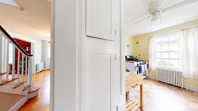 interior space with radiator heating unit, white gas range oven, light hardwood / wood-style flooring, and ceiling fan