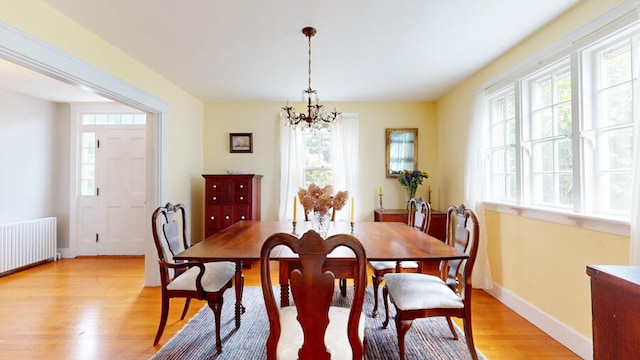 dining room featuring light hardwood / wood-style floors, radiator, and a wealth of natural light