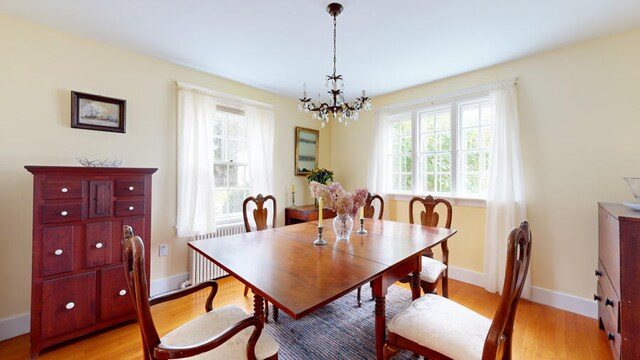 dining area featuring light hardwood / wood-style floors, radiator, and a notable chandelier