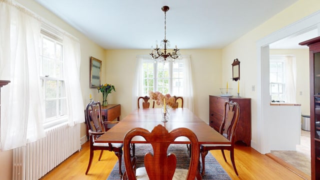 dining area with light wood-type flooring, a healthy amount of sunlight, and radiator