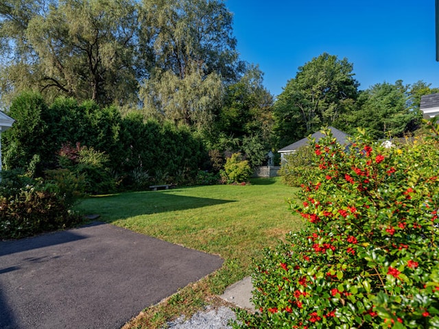 view of yard with a patio