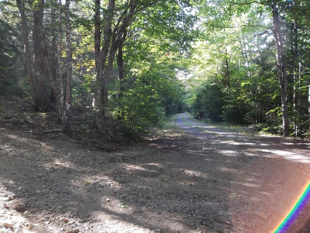 M2L3 Haywood Rd, Meddybemps, ME 04657 - photo 2