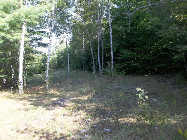 M2L3 Haywood Rd, Meddybemps, ME 04657 - photo 3
