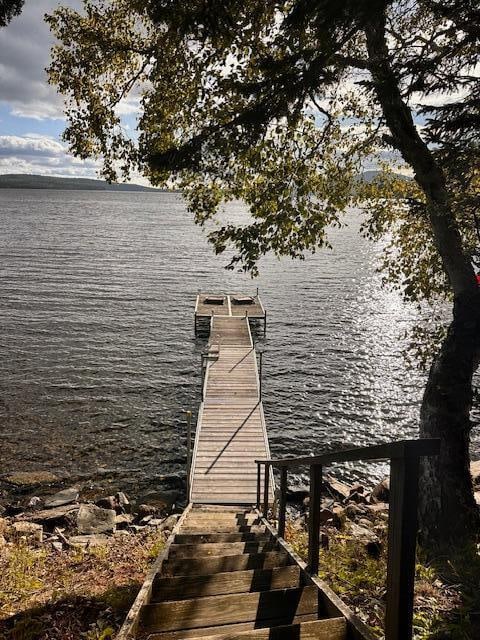 dock area with a water view