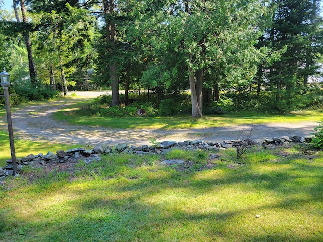 458 Lambert Rd, Brewer, ME 04412 - view of yard