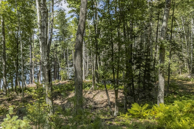 51 Malone Rd, Westport Island, ME 04578 - view of landscape featuring a view of trees