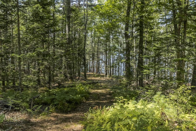 51 Malone Rd, Westport Island, ME 04578 - view of nature featuring a view of trees