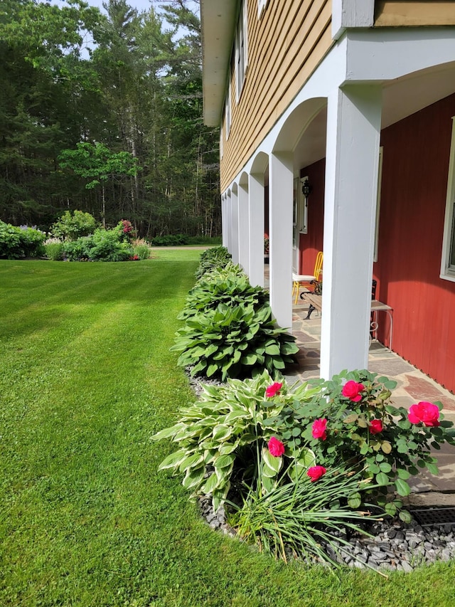 51 Malone Rd, Westport Island, ME 04578 - view of yard