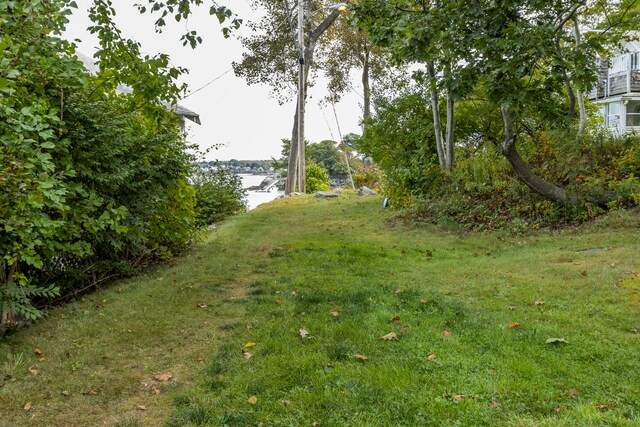 view of yard with a water view