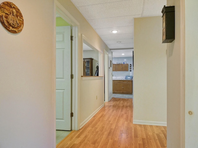 corridor featuring light wood-type flooring and a drop ceiling