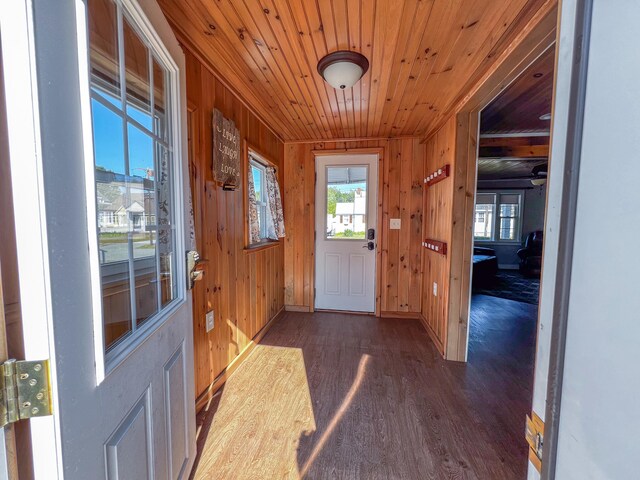 doorway to outside featuring wood ceiling, wood walls, and dark hardwood / wood-style floors