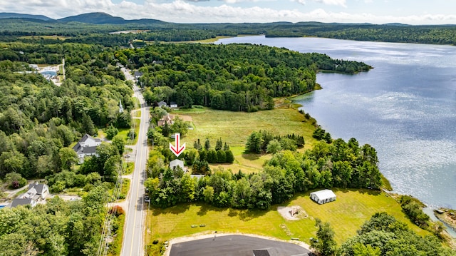 drone / aerial view with a water and mountain view