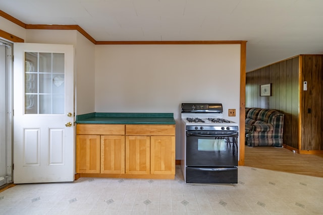 kitchen featuring ornamental molding and black gas stove